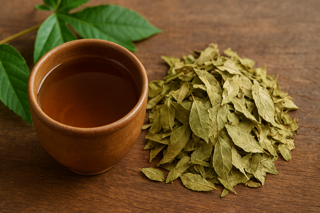 Sobre uma mesa de madeira uma xícara de porcelana com chá ao lado de folhas verdes e secas de embaúba.