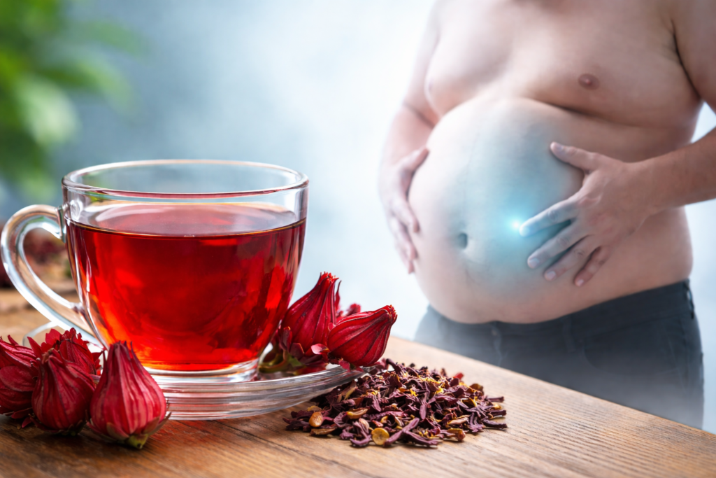 Sobre uma mesa de madeira uma xícara de vidro e ao lado cálices frescos e secos de hibisco, ao lado um homem gordo com destaque para sua barriga para representar se chá de hibisco desincha mesmo.