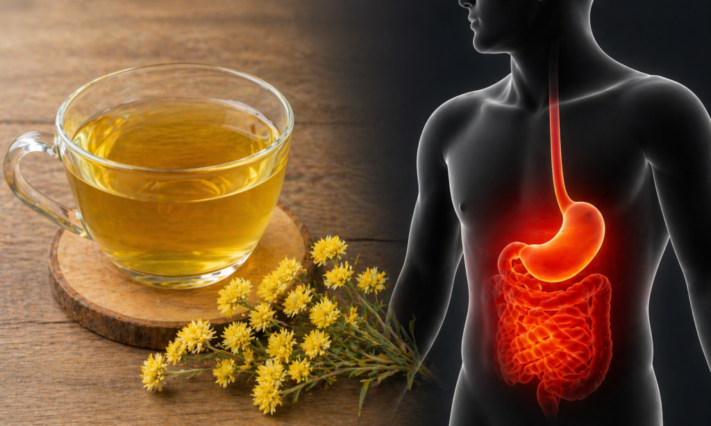 Sobre uma mesa de madeira uma xícara de vidro com chá e na frete uma ramo com flores frescas de marcela, ao lado uma silhueta humana com destaque para o sistema digestivo para representar marcela para má digestão.